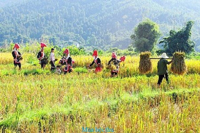 ជនជាតិ San Chi អភិវឌ្ឍន៍សេដ្ឋកិច្ច - ảnh 1